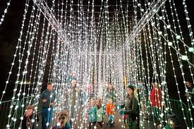 Best Bets Illumination Returns To Morton Arboretum Botanic Garden Debuts Lightscape Morton Arboretum Botanical Gardens Arboretum
