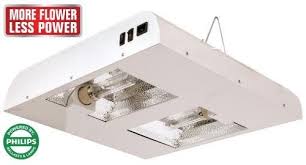 Sun System 906281 Diamond Lec 630 208 240 Volt W 3100k Lamps For More Information Visit Image Link Edge Lighting Ceramic Lamp Lamp