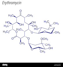 Image result for Erythromycin