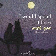 Pin On Love And Relationship Quotes