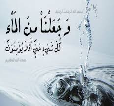قصة الإسلام الماء بيئة الحضارة الإسلامية