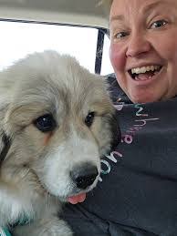 Andi Bailey's Instagram, Twitter & Facebook