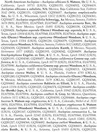 Image result for Asclepias buchwaldii