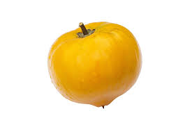 Image result for Pouteria altissima