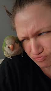 What advice do you have for a new bird mommy?