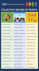What is a collective noun? 243 Collective Nouns List Of People Animals And Things Examplanning