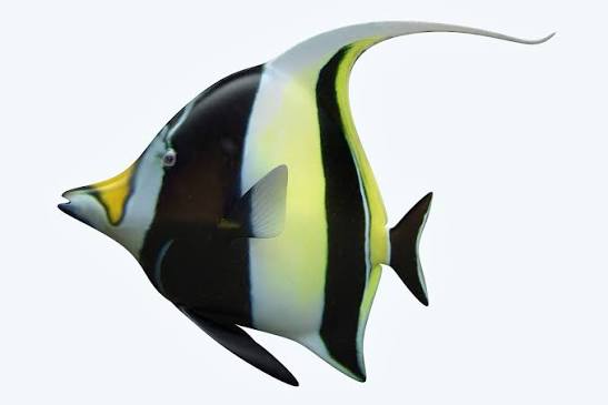 3D Manfish Fish - TurboSquid 1206229