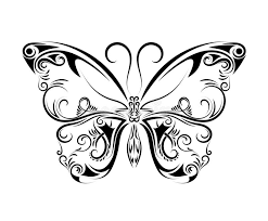 20% off all wall art! Beautiful Black And White Butterfly Isolated On White Stock Vector Illustration Of Butterfly Classical 151481585