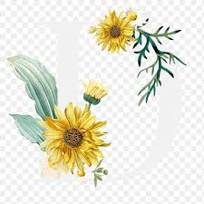 Gunakan bunga matahari png gratis ini untuk desain web, desain dtp, selebaran, proposal, proyek sekolah, poster, dan lainnya. Pin On An Idea Board