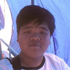 50 CSS Table Examples