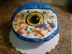 We did not find results for: 25 Best Edible Cell Project Ideas Cells Project Edible Cell Edible Cell Project