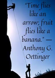 Time Flies Like An Arrow Fruit Flies Like A Banana Time Flies Like An Arrow Fruit Flies Like A Banana Anthony G Oettinger Quote Quoteofth Work Quotes Inspirational Positive Quotes Motivational Quotes