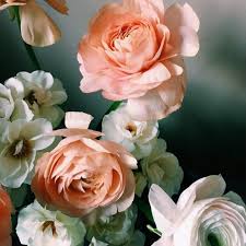 Average Cost Of Wedding Flowers Making The Most Of A Floral Budget Wedding Flowers Cost Fresh Wedding Flowers Wedding Costs