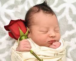 Amanda Whipple (@lilwhipp) • Instagram photos and videos