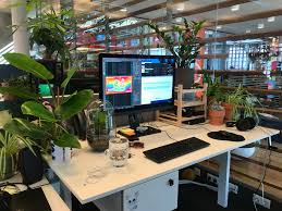 Are you the hunt for the best office desk plants to have around while you work? I Don T Understand Why Don T People Turn Their Office Desks Into A Jungle It Brings Me So Much Happiness Every Day Plants