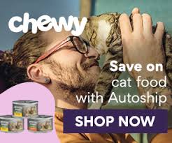 Spending 200,000 cat food in hacked battle cats! Top 10 Healthiest Dry Cat Foods Reviews Learn How To Read Labels