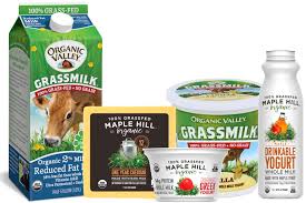We may earn a commission through links on our site. Grass Fed Dairy The Original Plant Based Milk 2018 03 20 Food Business News