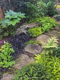 A Tapestry Of Foliage Along A Shady Path Primula Painted Fern Carex Banana Boat Impatiens Omeiana P Shade Garden Design Shade Garden Plants Shade Garden