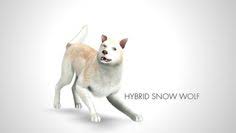 Hybrid Snow Wolf By Morganabananasims Sims 3 Downloads Cc Caboodle Sims Pets Sims 4 Pets The Sims 3 Pets