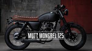 mutt mongrel mongrel triumph cafe racer cafe racer bikes