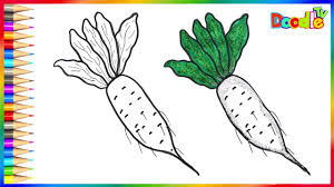 How To Draw A White Radish Mooli Step By Step Drawing Tutorial For Kids And Beginners Youtube Easy drawing tutorial how to draw for kids if you like my work, please, share, like, comment and subscribe. how to draw a white radish mooli step by step drawing tutorial for kids and beginners