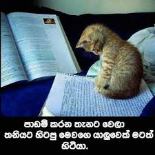 Ayithi karaganna bariwa parithyaga karapu thanath adare godak ayithi karaganna bariwa parithyaga karapu thanath adare godak thibuna à¶± à¶œ à¶¶à¶¶ Nangi Babaa Fotos Facebook