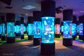 It S More Fun In The Philippines Day 2 Ocean Park Manila Inside Expat Ocean Park Ocean Park Manila Manila