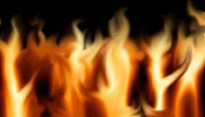 Choose from various strong, furious fire logo templates & icons to customize your fire logo now! Fire Gif On Gifer By Aura
