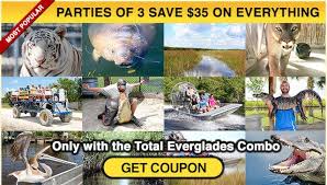 Everglades Airboat Tour With Free Gator Show Gator Hugs Animal Sanctuary Everglades Everglades Airboat Airboat