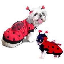 Details About High Quality Dog Costume Ladybug Costumes Dress Your Dogs Like Lady Bugs Insects