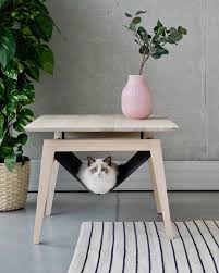 Emma L Adli Kullanicinin Kedi Ne Yapsa Panosundaki Pin Milk Paint Kedi Kedi Evi
