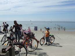 Bild Rader Kann Man Direkt Am Hafen Ausleihen Zu Insel Norderney In Norderney