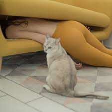 Intriguing Photographs From Giuseppe Palmisano Photographer Inspiration Photography Photography Inspo