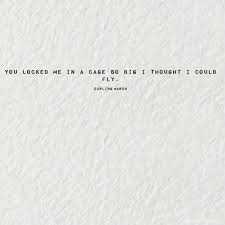 Fly Quotes