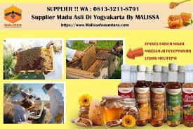 Madu lebah asli dibalik rasanya yang enak ternyata dapat menimbulkan kekuatan yang luar biasa didalam tubuh. Madu Murni Madu Lebah Asli Di Jogja Yogyakarta By Malissa Yogyakarta Jualo