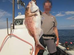 ブンブン丸 | 遊び100%