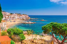 Ultimate Catalan Gastronomy Guide: Tapas to Seafood | Cellar Tours™