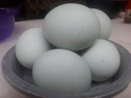 Ucapkan terima kasih pada pemilik gambar. Membuat Telur Asin Dinas Peternakan Kabupaten Lebak