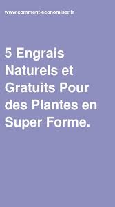 5 Engrais Naturels Et Gratuits Pour Des Plantes En Super Forme Engrais Naturel Engrais Et Engrais Pour Plantes