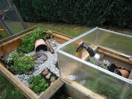 Sonst kann es schnell zu andauernden kämpfen und einer menge stress kommen. Landschildkrotenbabies Schildkrotengehege Schildkrotenhaus Schildkrote Gehege