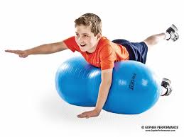 Sec sports equipment canada (160 orders) torque fitness (60 orders). Ultrafit Pro Stability Ball Gopher Performance Stability Ball Ball Exercises Exercise For Kids