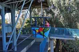 We did not find results for: San Diego Zoo Skyfari