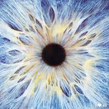 See All That A Clarifye Digital Eye Exam Shows Your Doctor Even More And No Other Exam Is More Precise Eye Exams Are Eye Close Up Iris Art Iris Painting