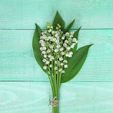 Dreamstime est la plus grande communauté mondiale de photographes de banque d'images. 47 Meilleures Bouquet De Muguet Images Photos Et Illustrations Vectorielles Stock Adobe Stock