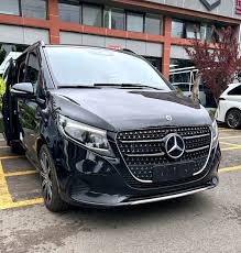 Image result for Sanidin Beuge 2015 Vito