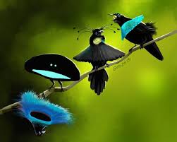 Flying Bird Of Paradise Drawing Found On Google From Pinterest Com Exotische Vogel Vogelbilder Vogel Als Haustiere