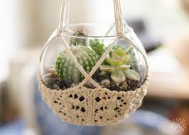 Choose from various styles, colors & shapes. Great Gift Idea Knit A Terrarium Hanger Free Pattern Designed By Pam Powers Knithacker