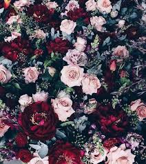 Background Backgrounds Hintergrund Flower Phone Wallpaper Flower Background Iphone Flower Wallpaper