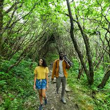 2.1 miles round trip (to mt. Deep Gap Trail At Mount Mitchell State Park