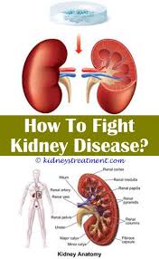 Pin On Diabetes Natural Cure